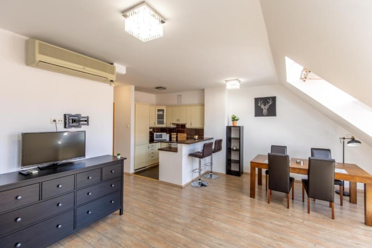 1 Bedroom Apartment
