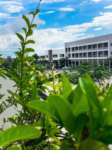 1 Bedroom Executive Apartment