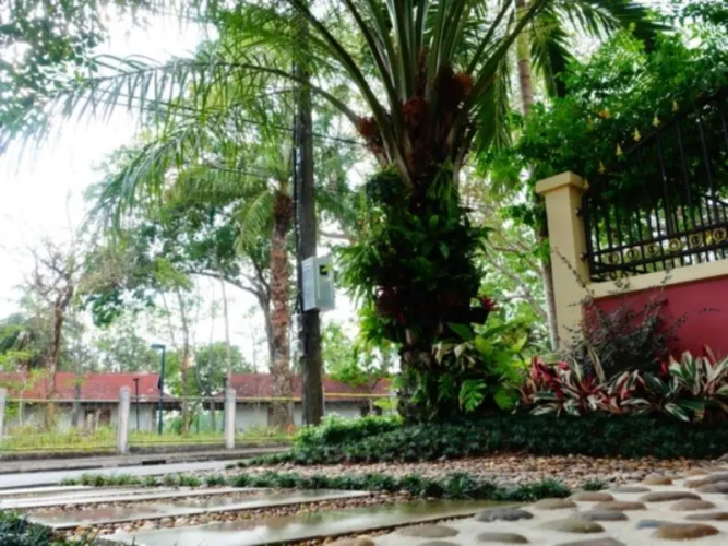 P.P. Palm Mansion1