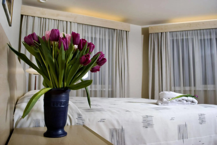 Hermis Hotel Kaunas