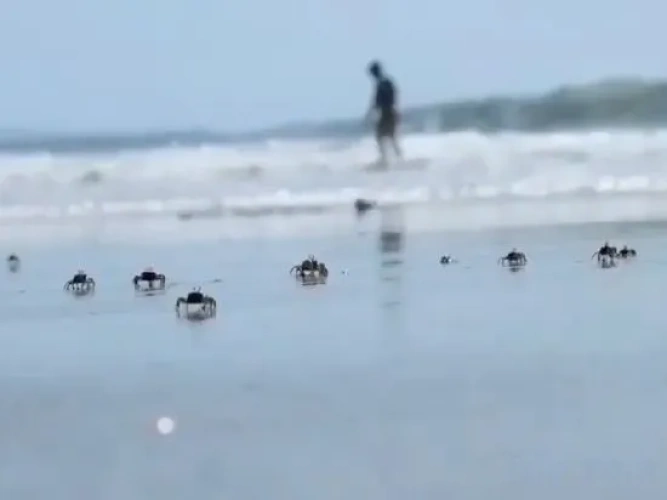 Beach