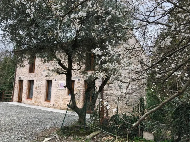 1 Bedroom Cottage