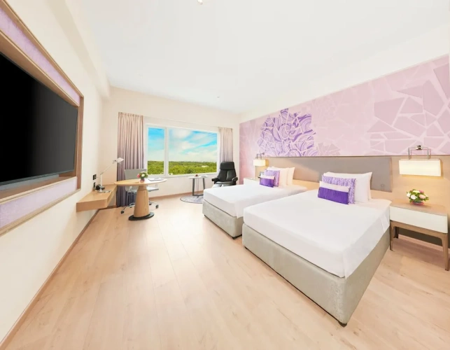 Deluxe Twin room with balcony and with city view