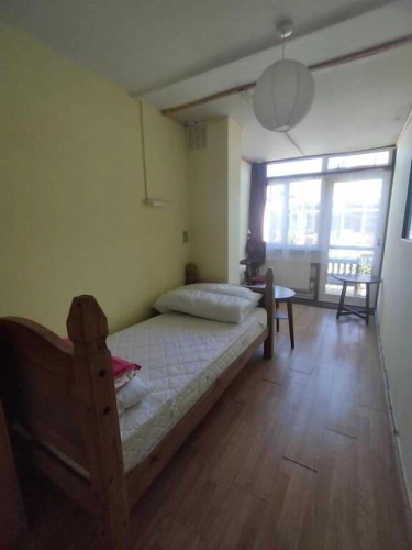Standard Single room with garden view