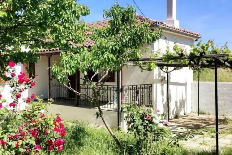 1 Bedroom Cottage