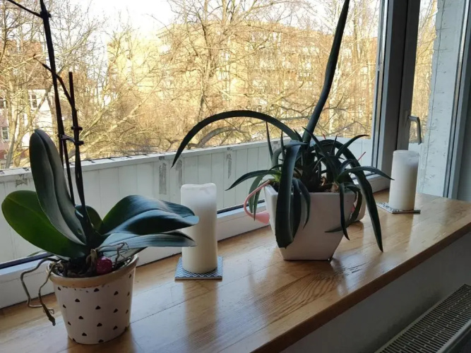Scandinavian Breeze Apartment