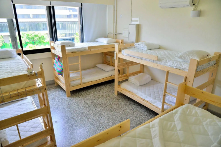 Bubbling Bunny Café - Hostel