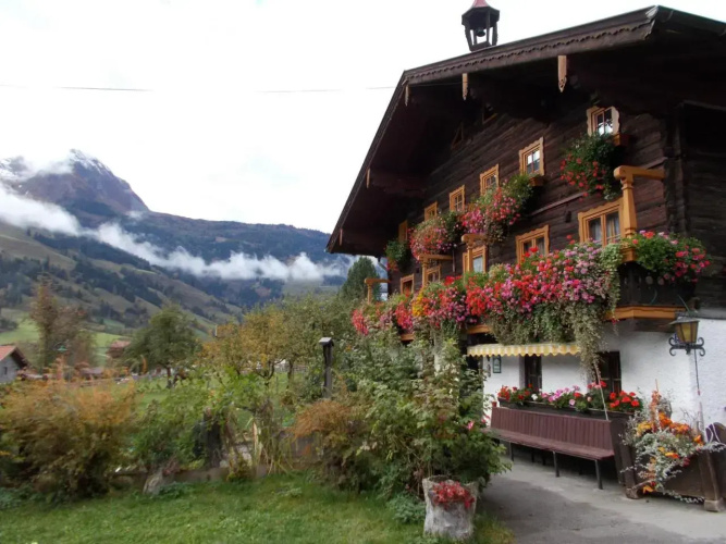 Steinerbauer