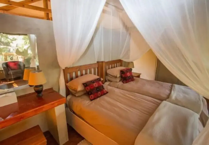 Lion Tree Top Lodge