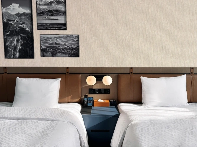 Superior Twin room with city view
