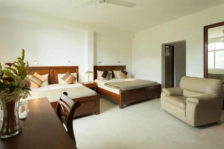 Deluxe Double room with balcony and with mountain view