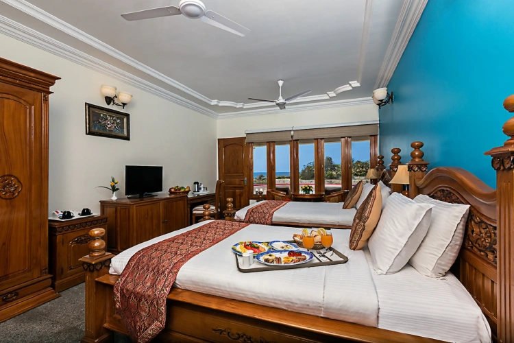 Deluxe Twin room with balcony and with view