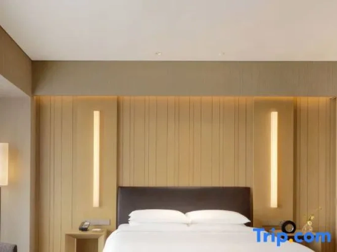 Deluxe Club Access Double room