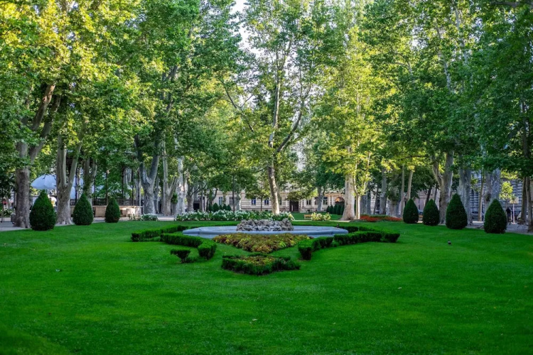 West Oasis With Terrace