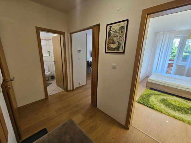 Apartman Patris 8