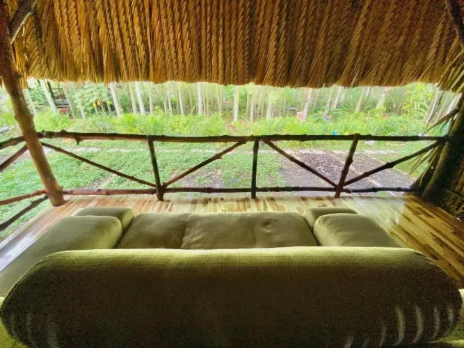 Standard Double room with garden view