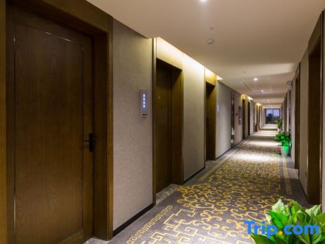 Hotel rooms