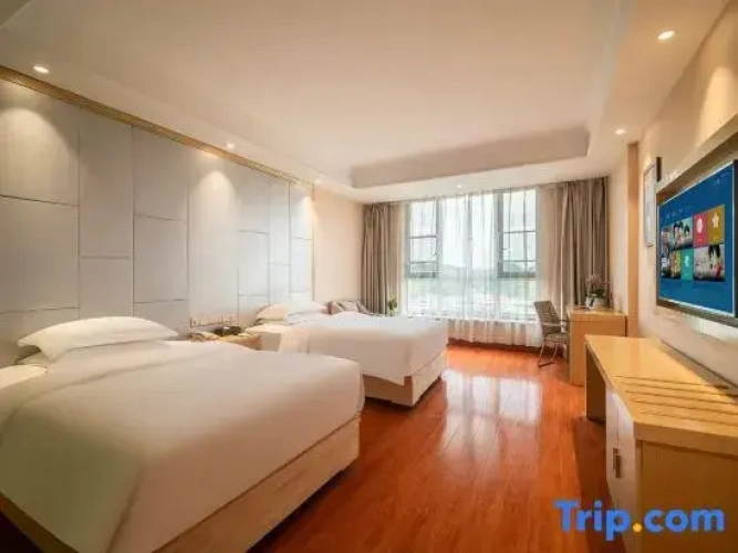 Standard Twin Family room