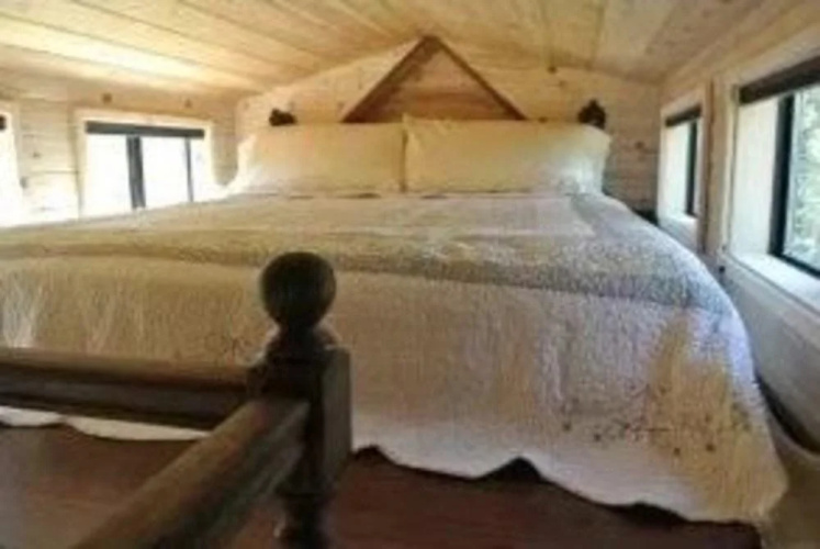 Coral Tree House