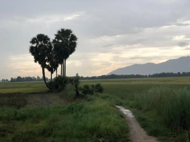 hotel đang khoi 2