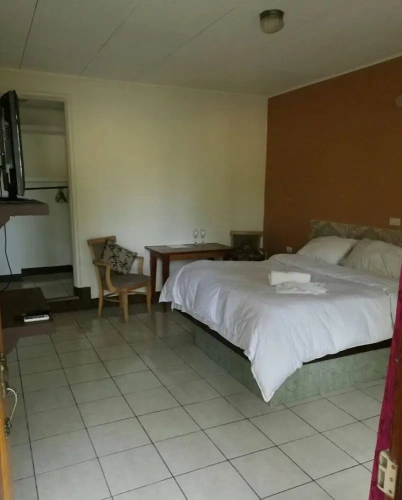 1 Bedroom Standard Double room