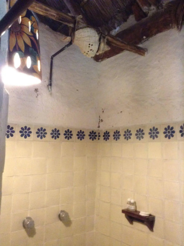 Villas Delfines