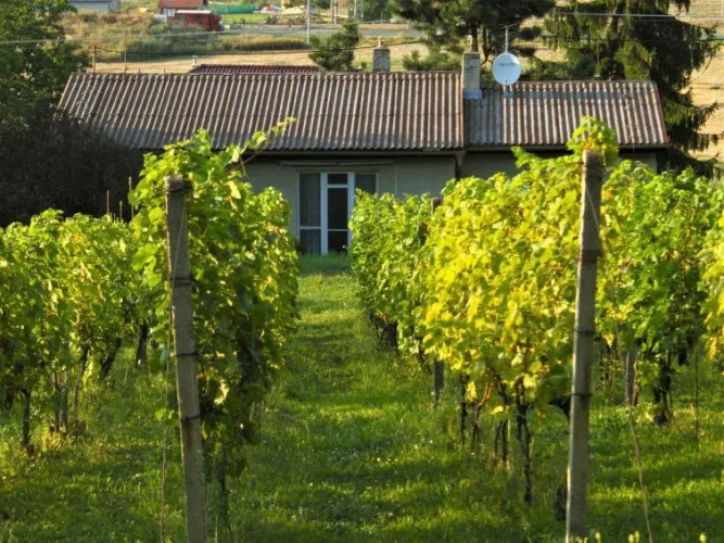 Holiday Home Milovice