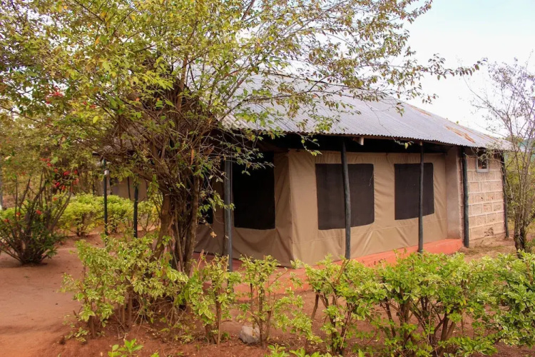 Mara Forest camp