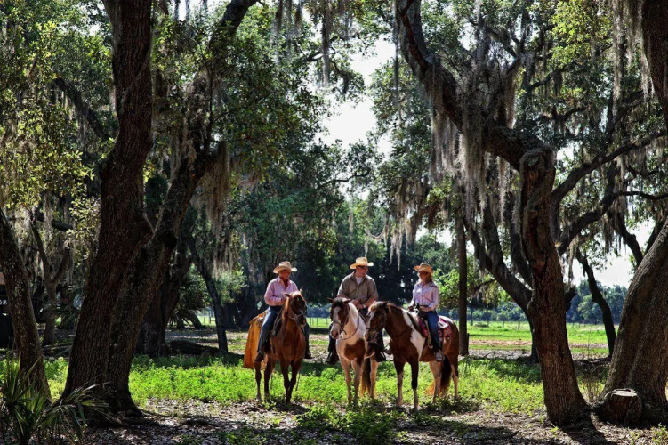 Westgate River Ranch Resort & Rodeo photo 30