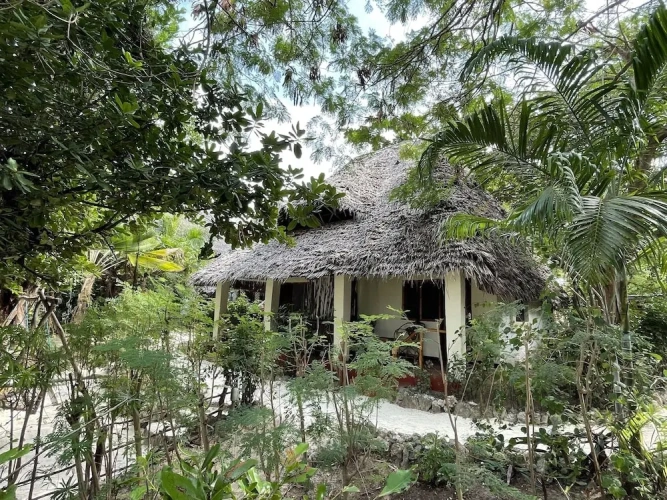 Standard Bungalow with view