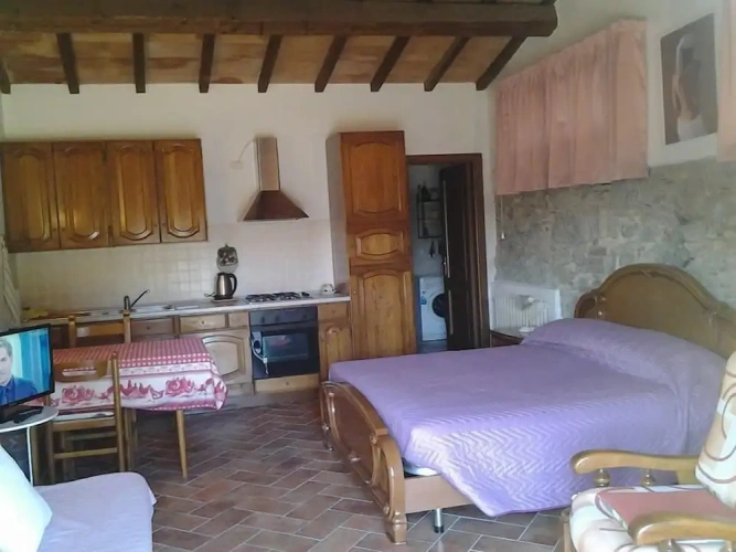 1 Bedroom Standard Studio