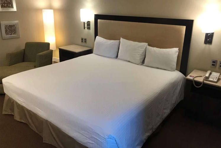 Deluxe Double Suite