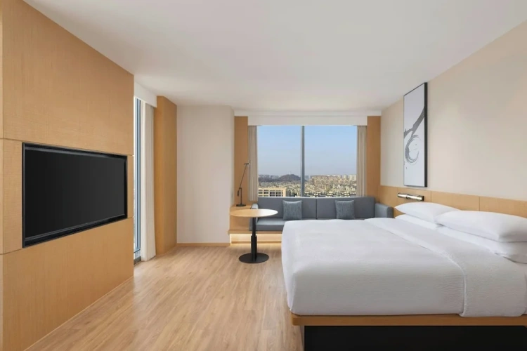 Business Double room with city view