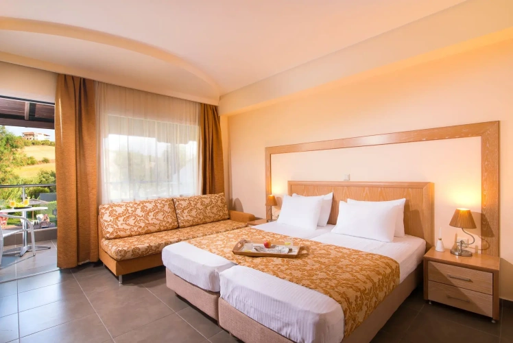 Standard Double room with pool view