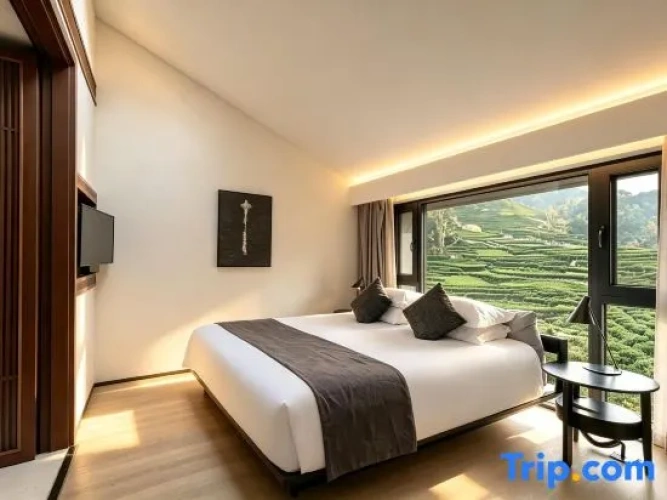 Luxury Suite