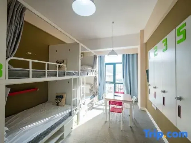 Bed in Dorm