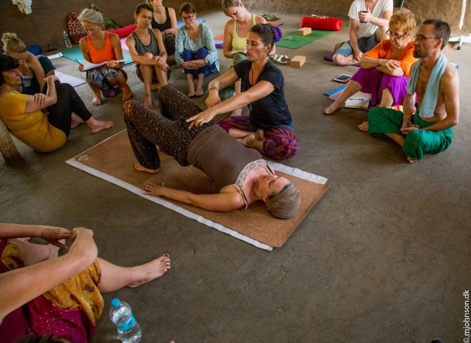 Banyan Tree Yoga