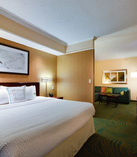 SpringHill Suites Savannah I-95 South