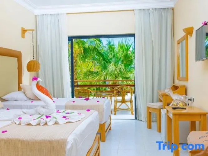 Superior Double room with garden view