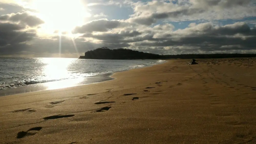 Landscape Coast
