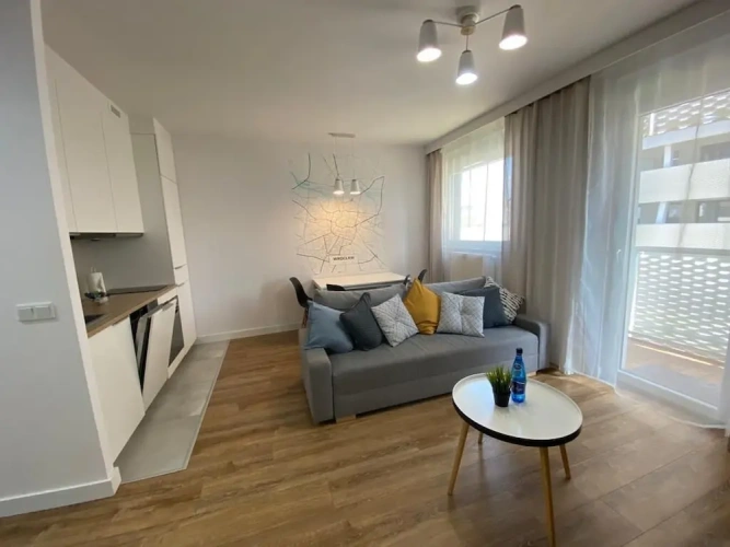 Luxury Apartment
