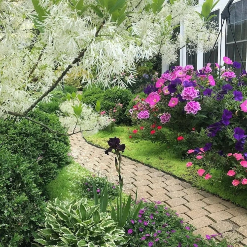 Standard Quadruple room with garden view