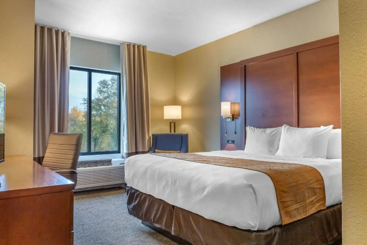Standard Double room