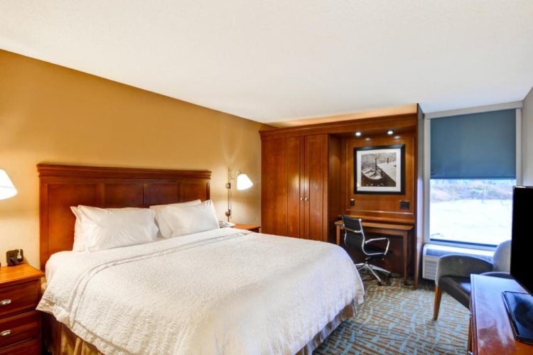 1 Bedroom Suite