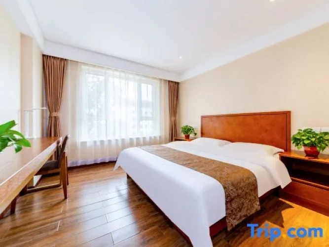 1 Bedroom Executive Suite