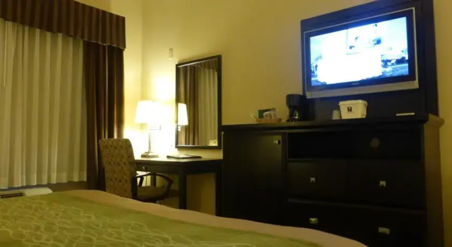 Comfort Inn & Suites Downtown