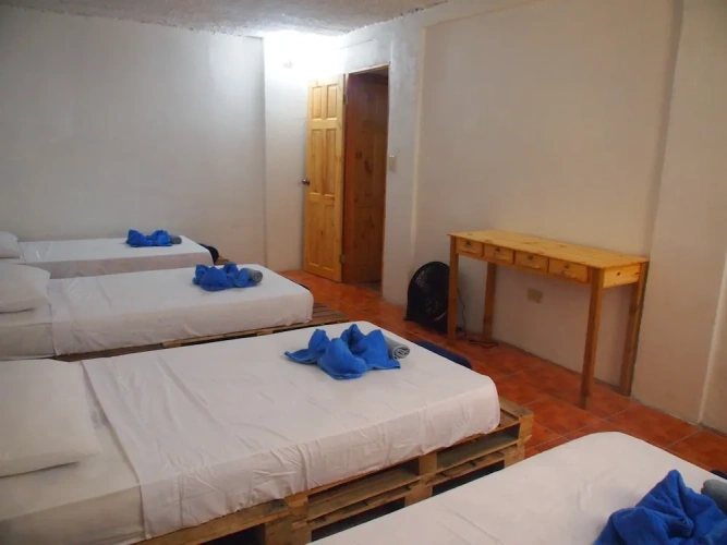 Standard Quadruple room with courtyard view
