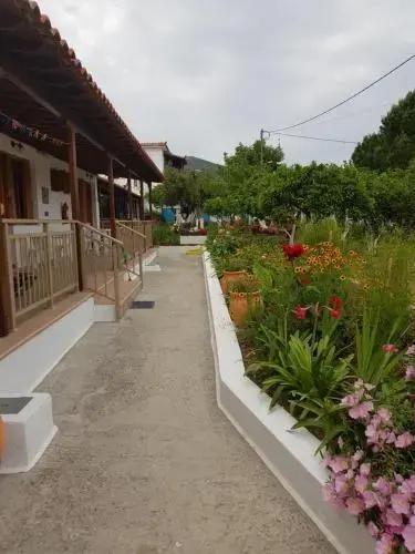 Asimina's House