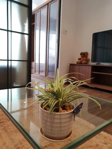 Min Apartment