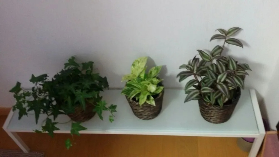 Yoko's House – Hostel